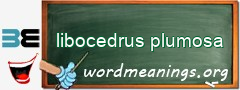 WordMeaning blackboard for libocedrus plumosa